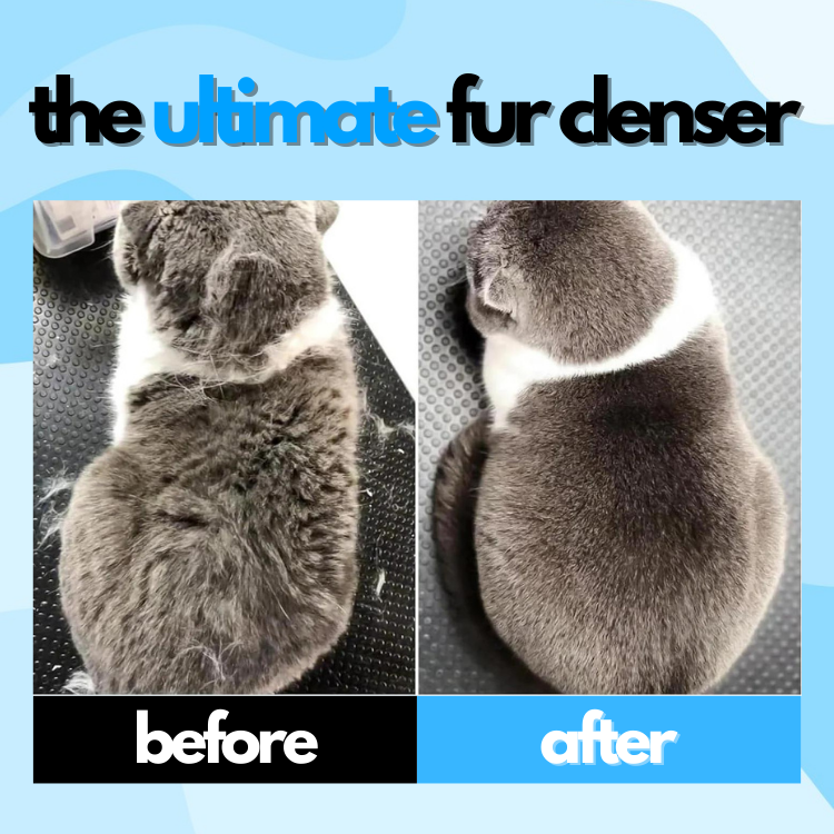 PurrMist Groomer™